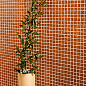 Темари Kerama Marazzi