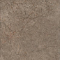 8354 Каприччо коричневый глянцевый 20x30 Kerama Marazzi