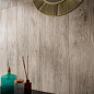 Wood Shine Eurotile Ceramica фото в миниатюре