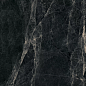 Worner Black sugar lapp. 60x60 Bluezone фото в миниатюре 15
