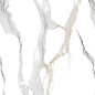 Staturio Oro Glossy 60x120 Modern Tile