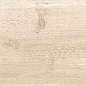 Dixie Almond 20x120 Geotiles