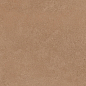 Mediterranea Coral R 31,5x100 Undefasa