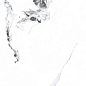 PR222 Videl Bianco polished 600x1200x9 PrimaVera