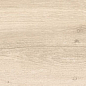 Dixie Almond 20x120 Geotiles