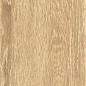 ZC 1023058 rect.. 20x100 Bonaparte