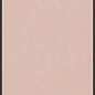 764094 Policroma Cornice Cipria Mat Ret 6mm 120x240 Cedit