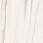610015000685 Stellaris Carrara Ivory Lux Ret 80x160 Italon