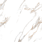 CR4019-A Calacatta Gold Carving 60x120 Arcadia Ceramica