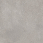 GT1206017701MR Cassini Серый матовый 60x120 Global Tile
