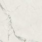 610010002746 Микеланджело Колд 60x120 ColiseumGres