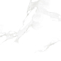 Twilight White Polish 60x120 Granoland