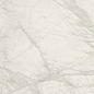 PF60015280 Tarsia Bianco Dolomiti Lux 3D Rett 60x120 Versace (Gardenia Orchidea)