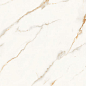 Golden Statuario Polish 60x120 Granoland