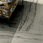 G67584 Black & Gold Lux R 60x120 Versace (Gardenia Orchidea) фото в миниатюре 14