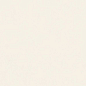 N12041 Blossom Pure Matt 60x120 Neodom