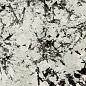 SS12049 Luxury Stone Pol 60x120 Fusure Ceramic