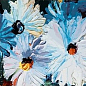 AS009 Панно Artsera 60x60 Serapool