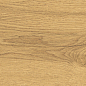 38604 Grow Honey SP/24X151X0,9/R 24x151 Peronda фото в миниатюре 24