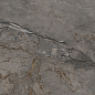 NTT9623DMI Matter Матовая прожиг 60x120 NT Ceramic фото в миниатюре 3