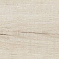 189003 Quercus Betulla 22x120 Dune