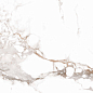 Pnr 10097 Polished 60x60 A-Ceramica