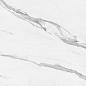 004.840.0012.09556 CELLINI BLANCO leviglass Rect. 60x60 Pamesa