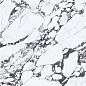 NTT3013P (A) Tantai Jin Demon 120x240 NT Ceramic