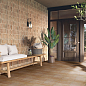 Clay Mainzu фото в миниатюре 2