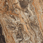 GR104 Richter Brown High glossy 600x600 PrimaVera