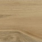 Botanica Dreamwood Rett 20x120 Ceramika Konskie