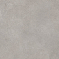 GT1206017701MR Cassini Серый матовый 60x120 Global Tile
