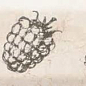 Fruit Mistral Marfil Blackberry 10x30 Monopole Ceramica