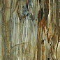 Arty Brown High gloss 60*120 Art Ceramic