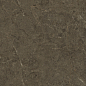PT12F7039 Neapol Brown Matt 1200х600х9 Protiles