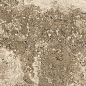 124772 Aurum Artis Grip 25x50 Century