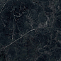 PF60015279 Tarsia Nero Imperiale Lux 3D Rett 120x120 Versace (Gardenia Orchidea)
