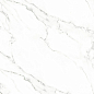 Carrara white 60x60 Realistik