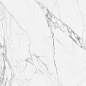 NTT99528P Artic statuario Glossy 60x120 NT Ceramic