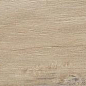 Leccio Gentile 10x40 Serenissima Cir