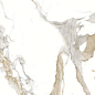 Medici Gold Natural 60x120 Benadresa
