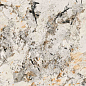 BHW-0042 Phoenix full body polished (gold) 60x120 Basconi Home