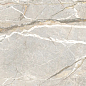 PF60017241 Supreme Hedonism Silver Roots Lux 3D R 60x120 Flaviker