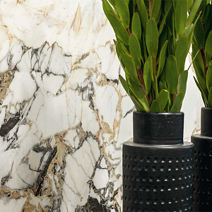 Etoile de Rex Rex Ceramiche