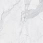 AC76335 Franchesco Polished 10mm 60x120 Pardis Ceramic Pazh