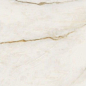 67582 Calac Br Luxr 60x120 Versace (Gardenia Orchidea)