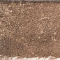Scandiano Rosso Elewacja 7mm 24x6,5 Paradyz