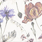 PT03018 Aquarel Decor Daria 15x30 Mainzu
