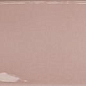 124925 BLUSH GLOSS 7,5x30 WOW