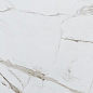 3091 Grande Fantastico Polished 60*120 Tile Kraft